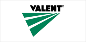 Valent logo with green stripes